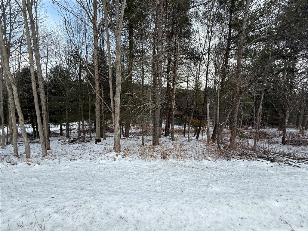 224 Foster Road Vestal, NY 13850 - Photo 2 of 4