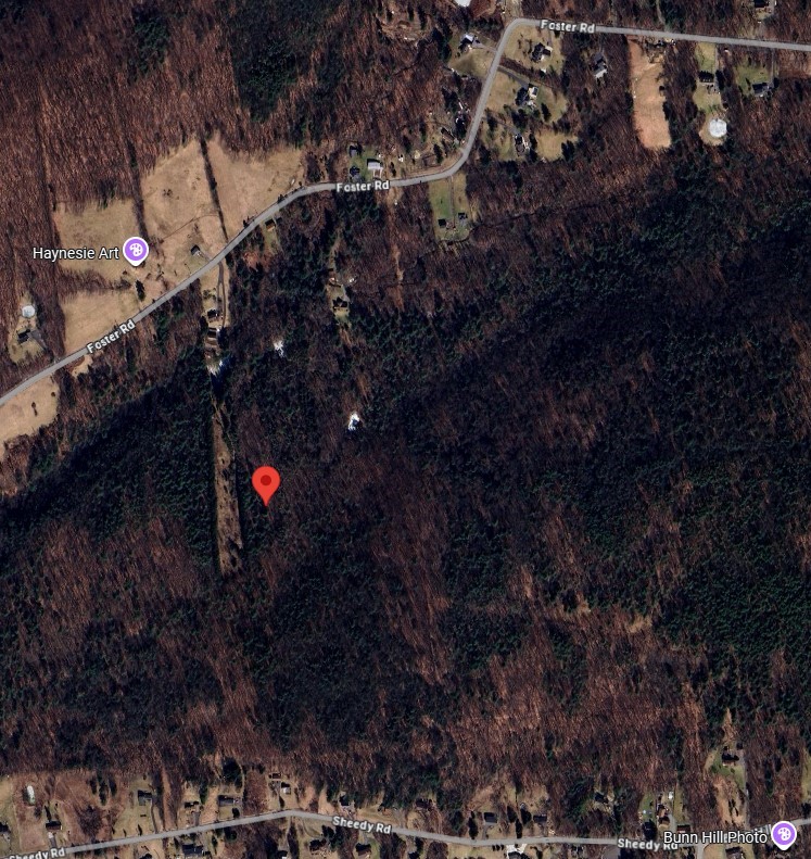 224 Foster Road Vestal, NY 13850 - Photo 4 of 4