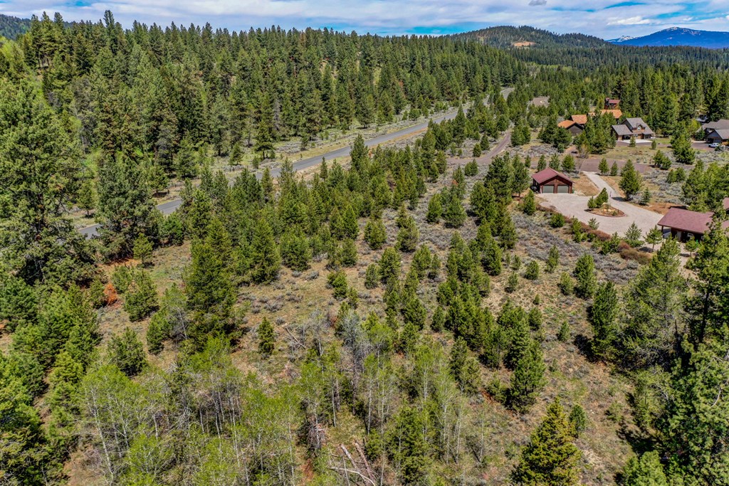 Tbd Bitterroot Court, Unit 20 McCall, ID 83638 - Photo 17 of 19