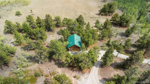 a view of a forest with a house
