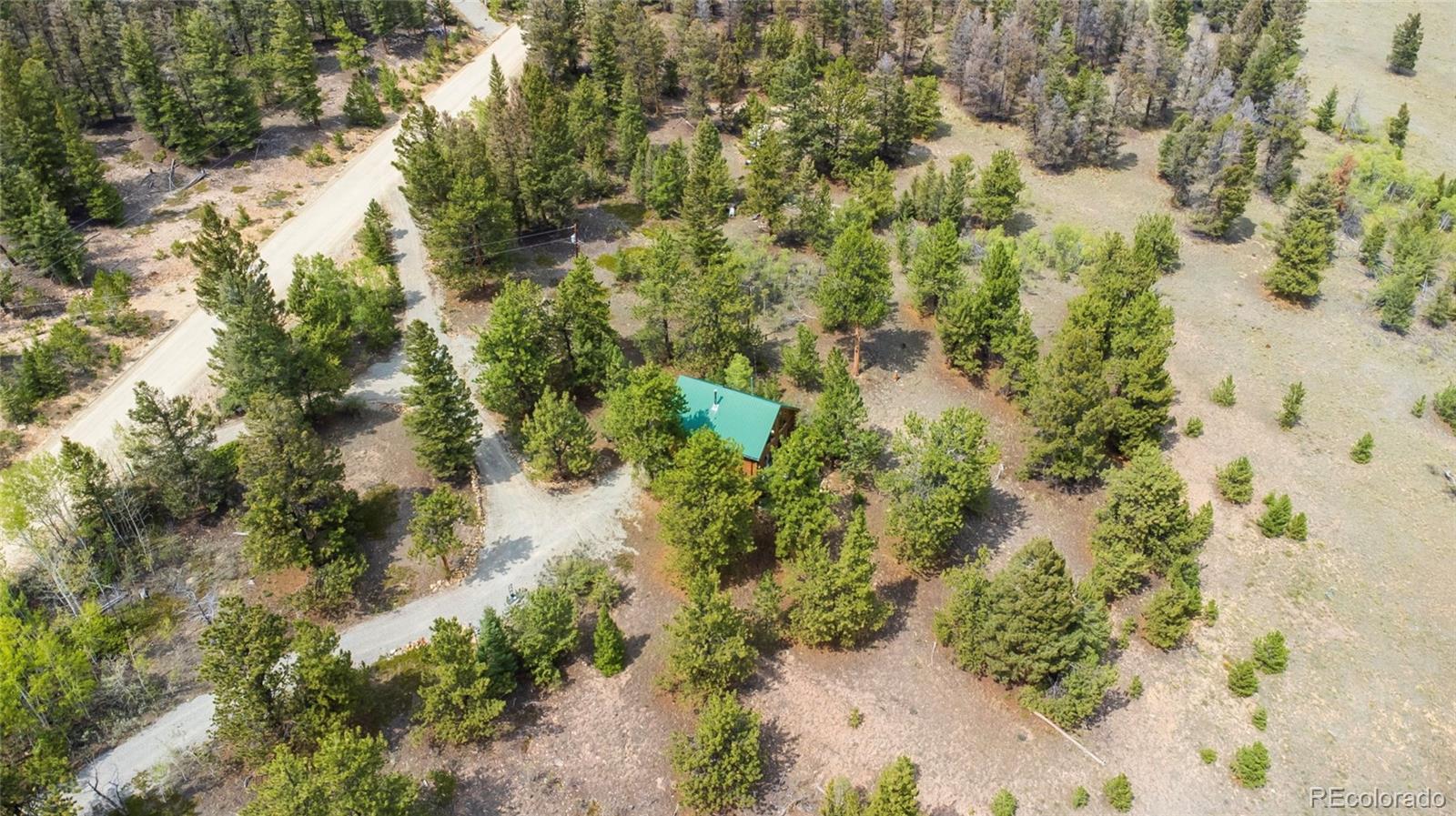 2578 Redhill Road Fairplay, CO 80440 - Photo 37 of 48 a view of a forest with a house