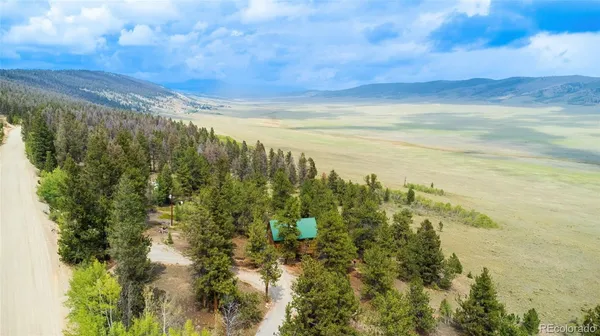 a view of a forest with lots of trees