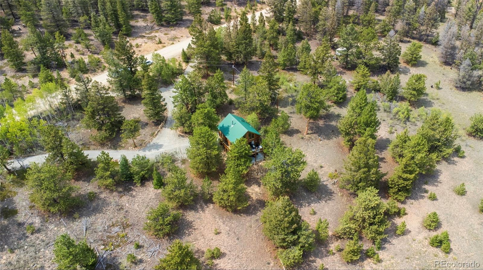 2578 Redhill Road Fairplay, CO 80440 - Photo 45 of 48 a view of a forest with a tree