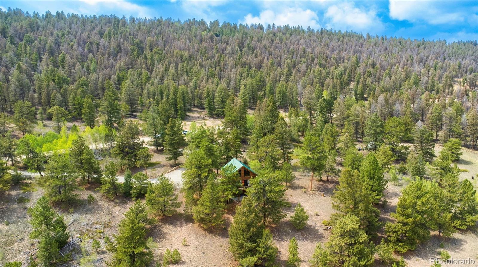 2578 Redhill Road Fairplay, CO 80440 - Photo 47 of 48 a view of a bunch of trees