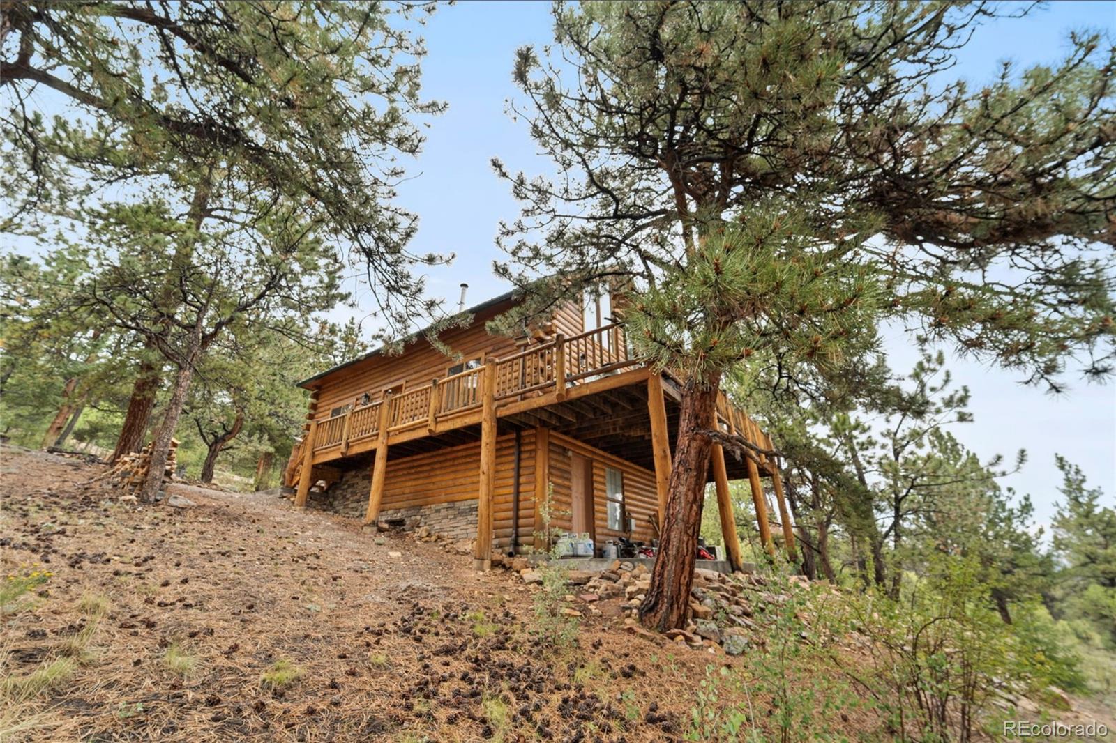 2578 Redhill Road Fairplay, CO 80440 - Photo 6 of 48 front view of a house with a trees
