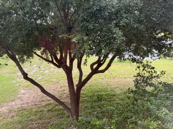 $1,995 | 357 North Rock Island Road, Pompano Beach, FL 33063