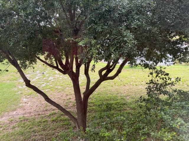 357 North Rock Island Road Margate, FL 33063 - Photo 11 of 19 S12