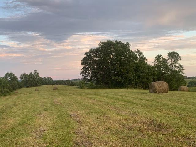 4037 Howards Mill Road Mount Sterling, KY 40353 - Photo 17 of 26 b7