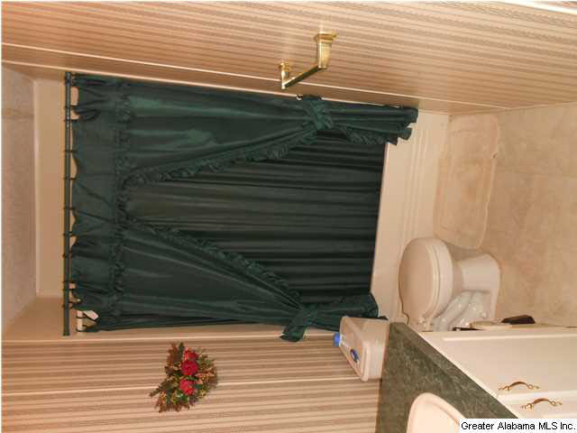 85 Sharon Drive Springville, AL 35146 - Photo 6 of 7