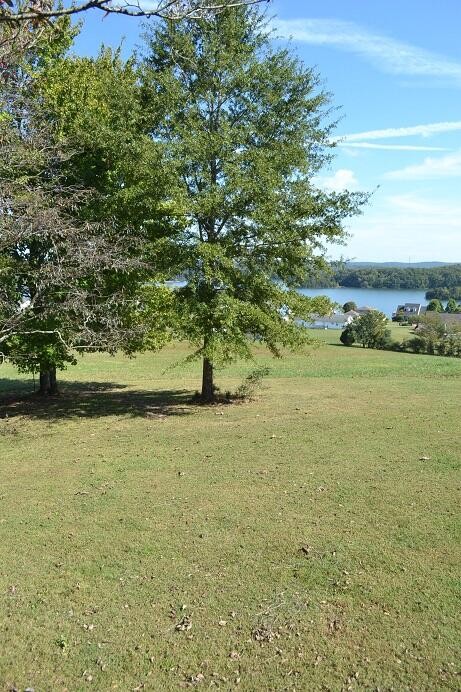 425 Sable Estates Ln Spring Spring City, TN 37381 - Photo 5 of 26