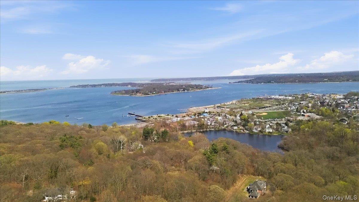 263 Oyster Bay Road Mill Neck, NY 11765 - Photo 2 of 42