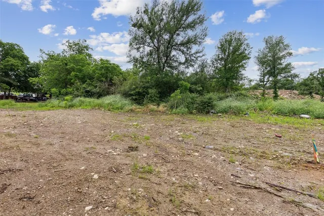 a view of a yard with a tree