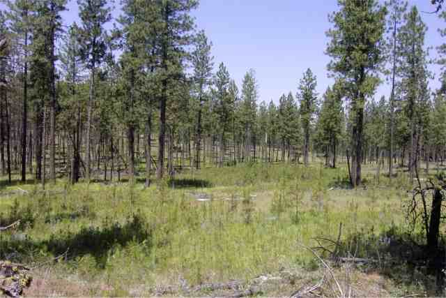 21601 West Jacobs Road Spokane, WA 99224 - Photo 2 of 3