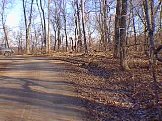 0 Rr 1 Lacon, IL 61540 - Photo 5 of 5 Gallery Image 5