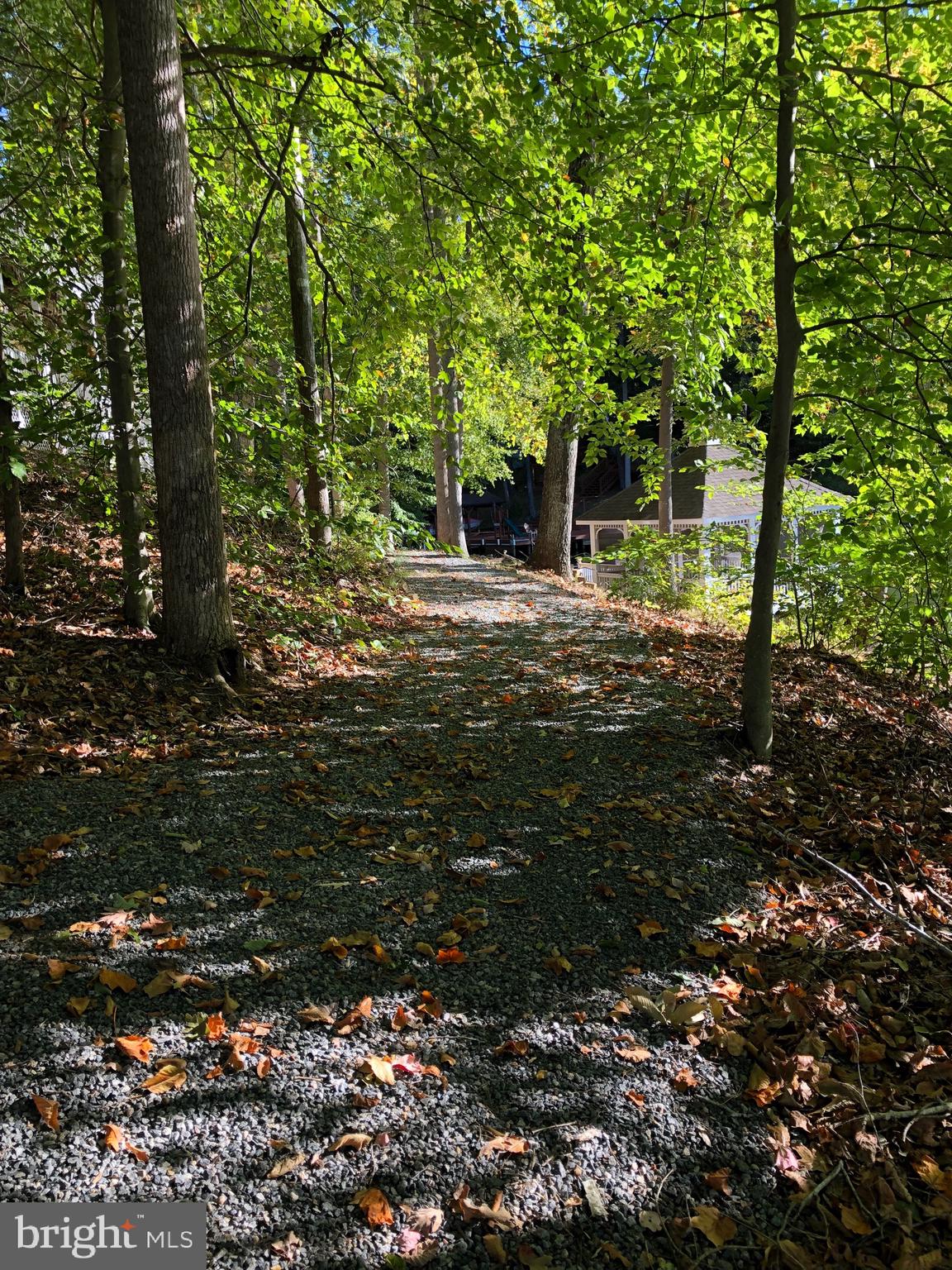 6321 Rope Swing Court Spotsylvania, VA 22551 - Photo 36 of 39 Golf cart path