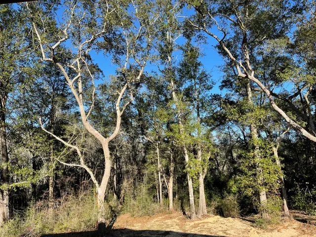 $519,900 | 4224 Byrnwyck Place, Milton, FL 32571