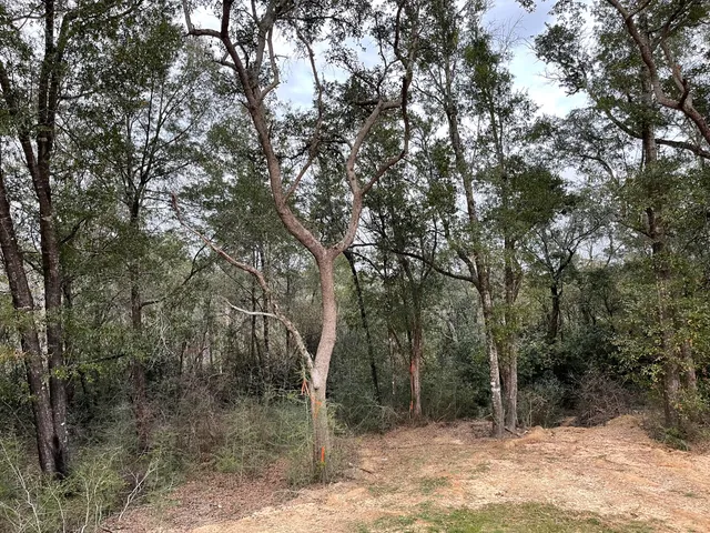 $519,900 | 4224 Byrnwyck Place, Milton, FL 32571