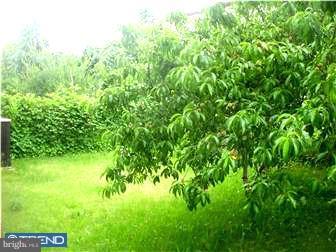 838 Hendrix Street Philadelphia, PA 19116 - Photo 12 of 12 a view of a yard