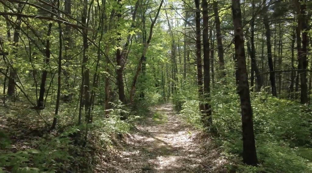 32 Hollow Road Wales, MA 01081 - Photo 25 of 35