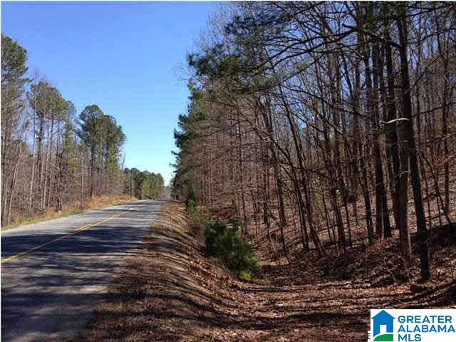 0 Woolfolk Road, Unit 3 ACRES Munford, AL 36268 - Photo 14 of 24