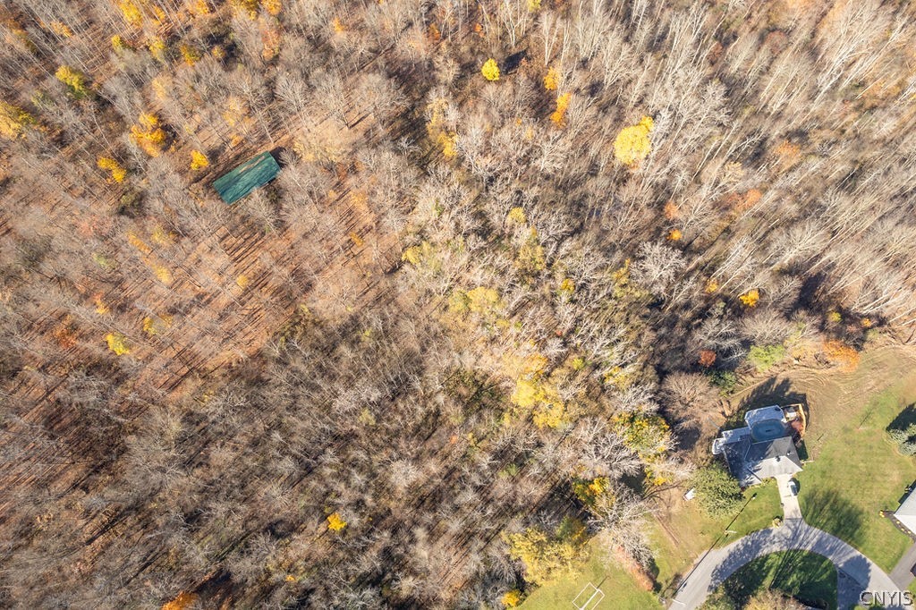 60 Ridgeway Sites Avenue Minetto, NY 13126 - Photo 24 of 48