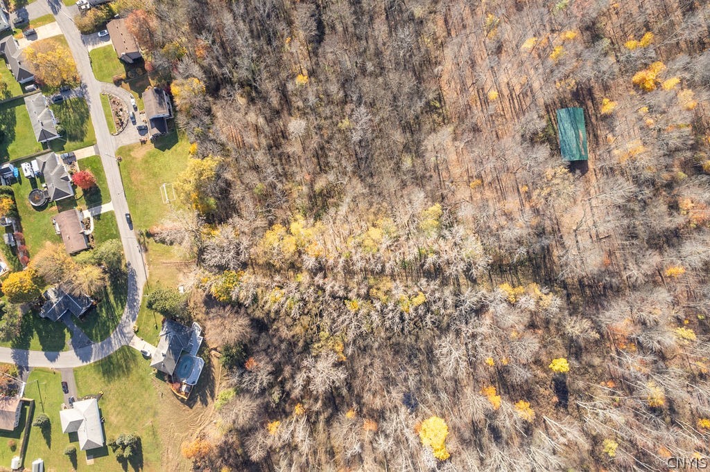 60 Ridgeway Sites Avenue Minetto, NY 13126 - Photo 29 of 48