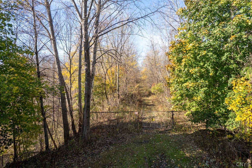 60 Ridgeway Sites Avenue Minetto, NY 13126 - Photo 30 of 48