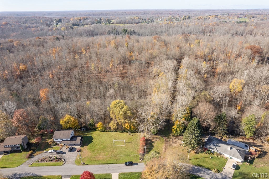 60 Ridgeway Sites Avenue Minetto, NY 13126 - Photo 6 of 48