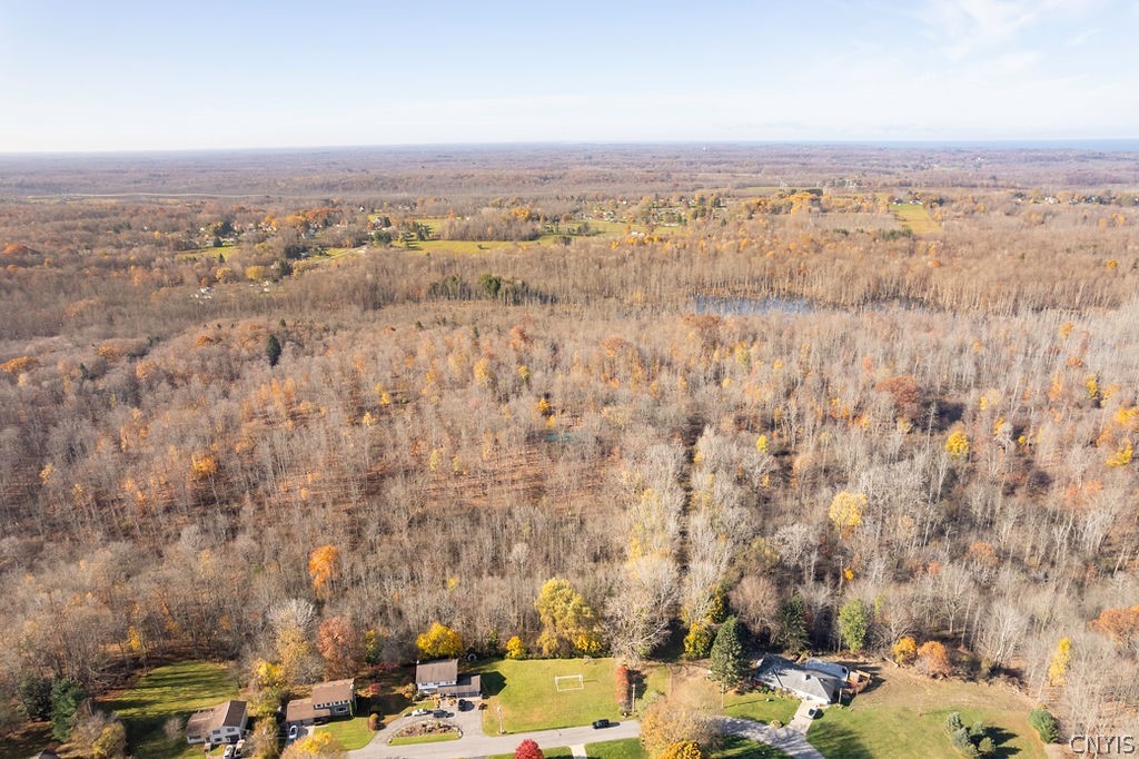 60 Ridgeway Sites Avenue Minetto, NY 13126 - Photo 7 of 48