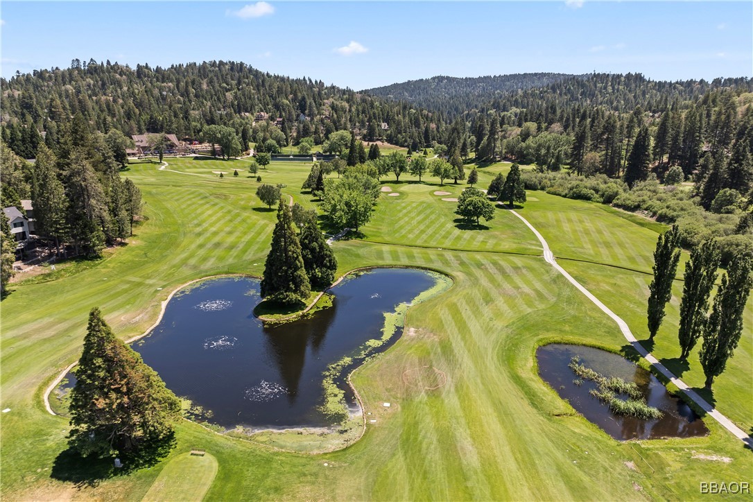 a view of a swimming pool with a yard