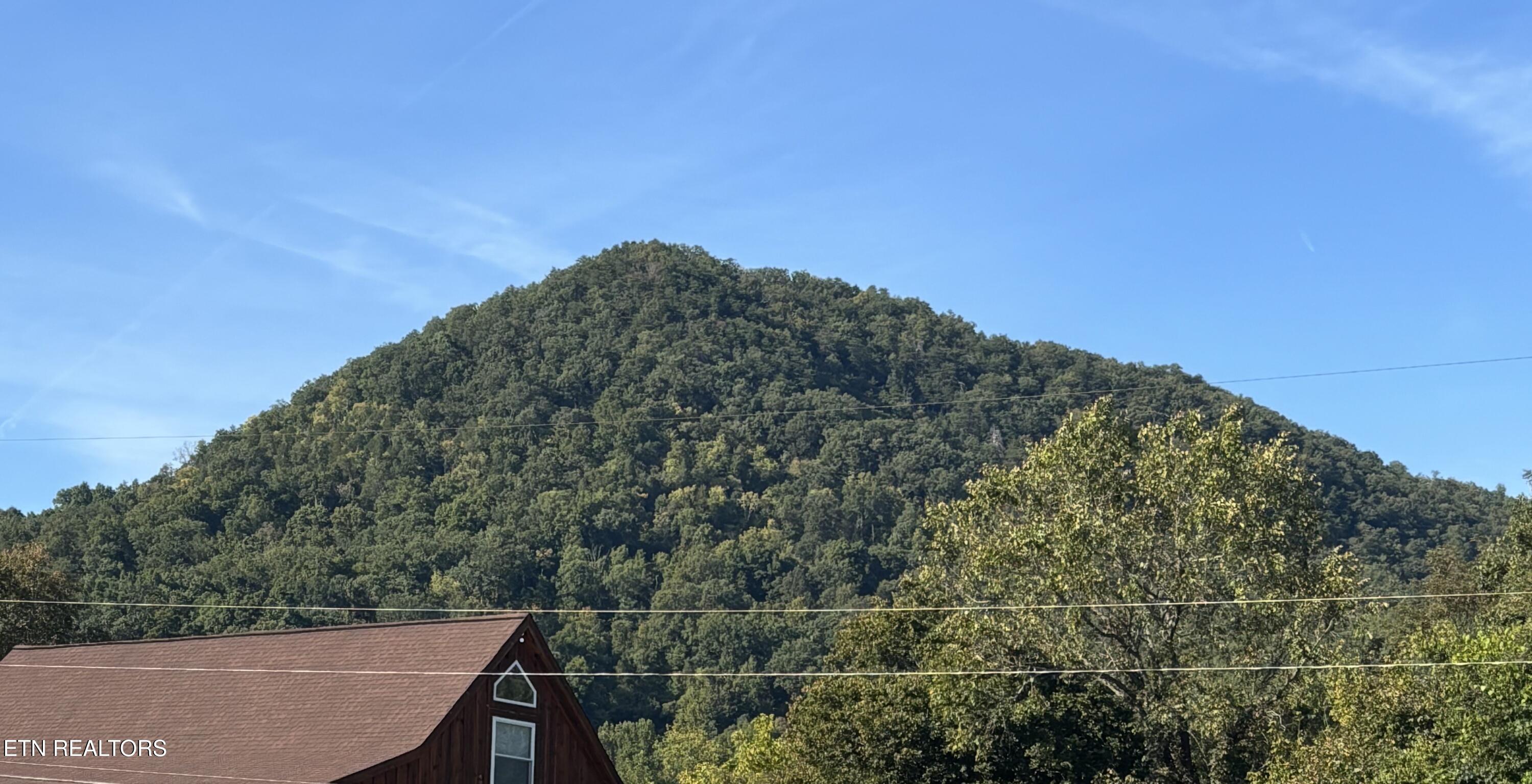 10728 Mountain Road Luttrell, TN 37779 - Photo 22 of 23 IMG_3924