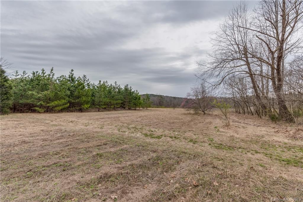 1723 Clark Road Rutherfordton, NC 28139 - Photo 33 of 37 a view of a field with trees