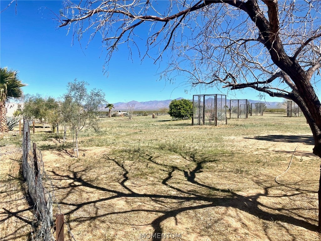 21477 South Sundance Kid Road Yucca, AZ 86438 - Photo 60 of 66 Gallery Image 60