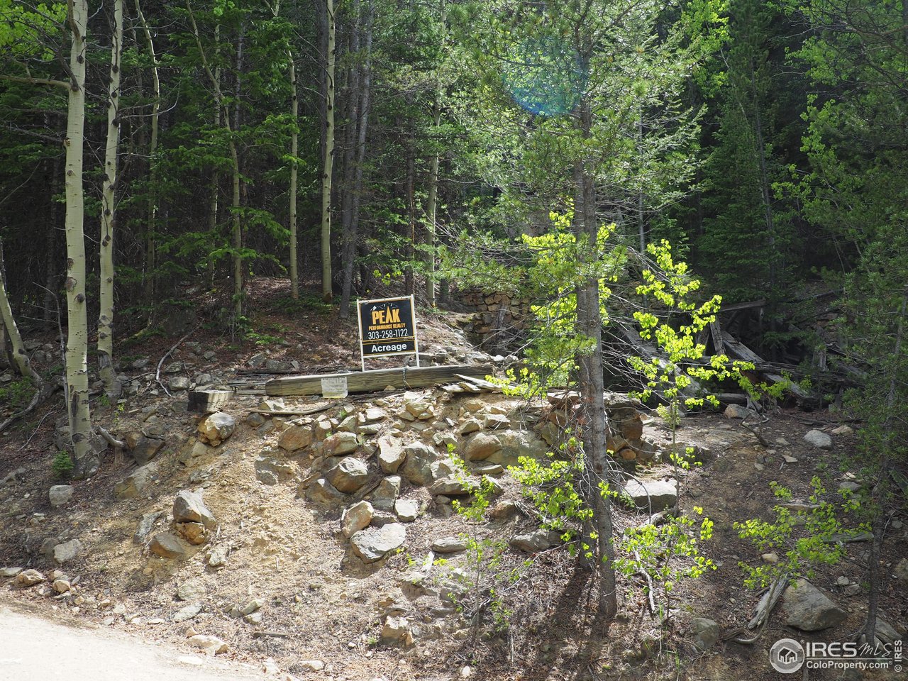 a view of a room with a tree in the background