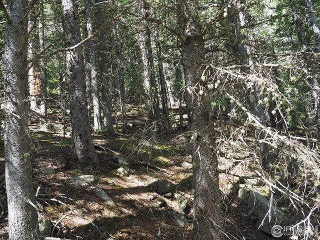 $98,000 | 0 Gamble Gulch Road, Black Hawk, CO 80422