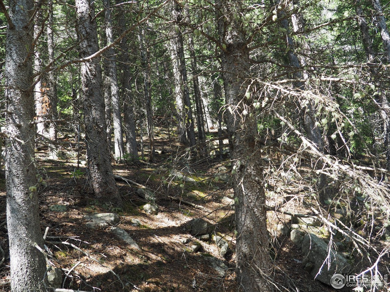 0 Gamble Gulch Road Black Hawk, CO 80422 - Photo 13 of 23