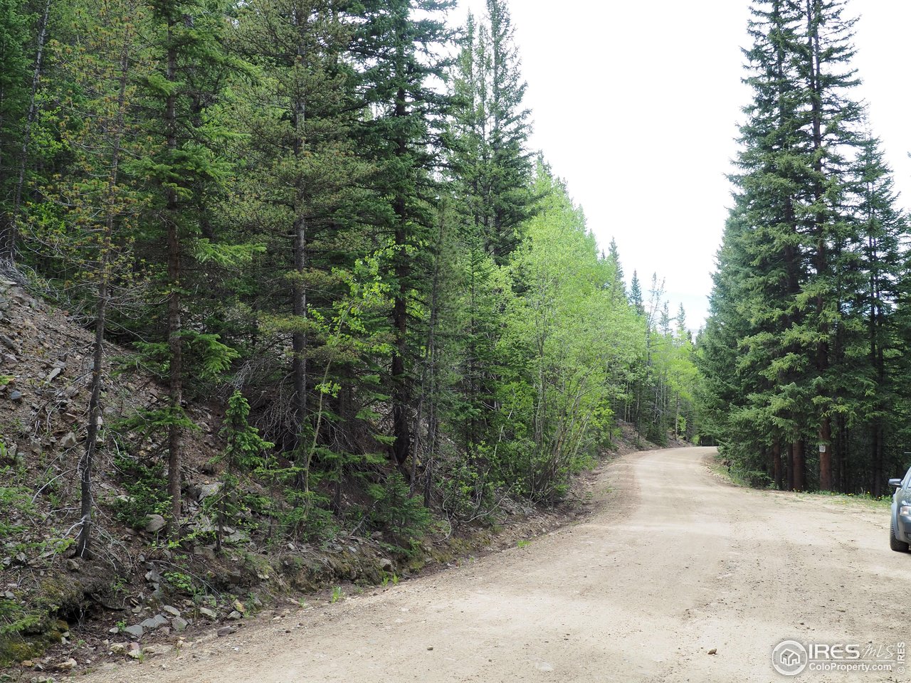 0 Gamble Gulch Road Black Hawk, CO 80422 - Photo 16 of 23 a view of a forest with trees in front of it