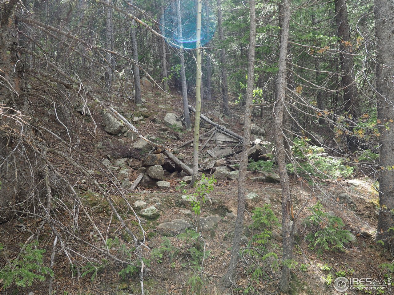 0 Gamble Gulch Road Black Hawk, CO 80422 - Photo 19 of 23 a view of a pathway of a yard