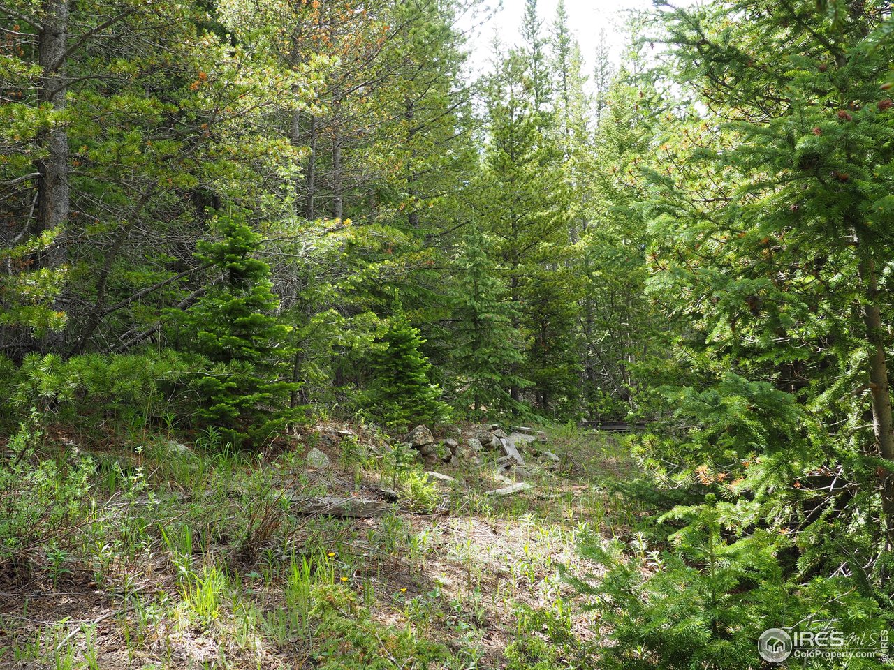 0 Gamble Gulch Road Black Hawk, CO 80422 - Photo 20 of 23 a view of a lush green forest
