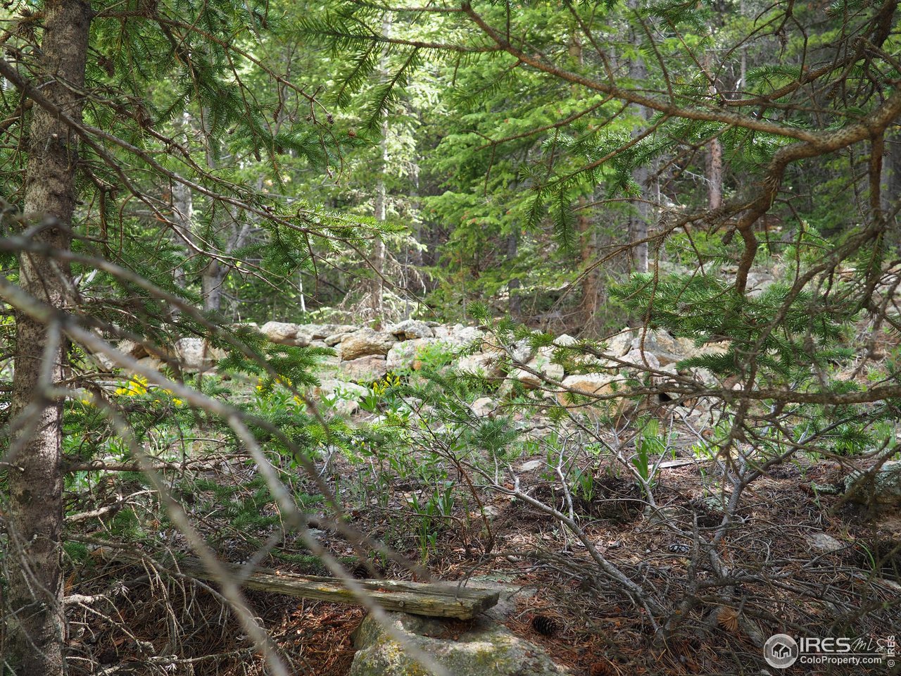 0 Gamble Gulch Road Black Hawk, CO 80422 - Photo 21 of 23 a backyard of a house