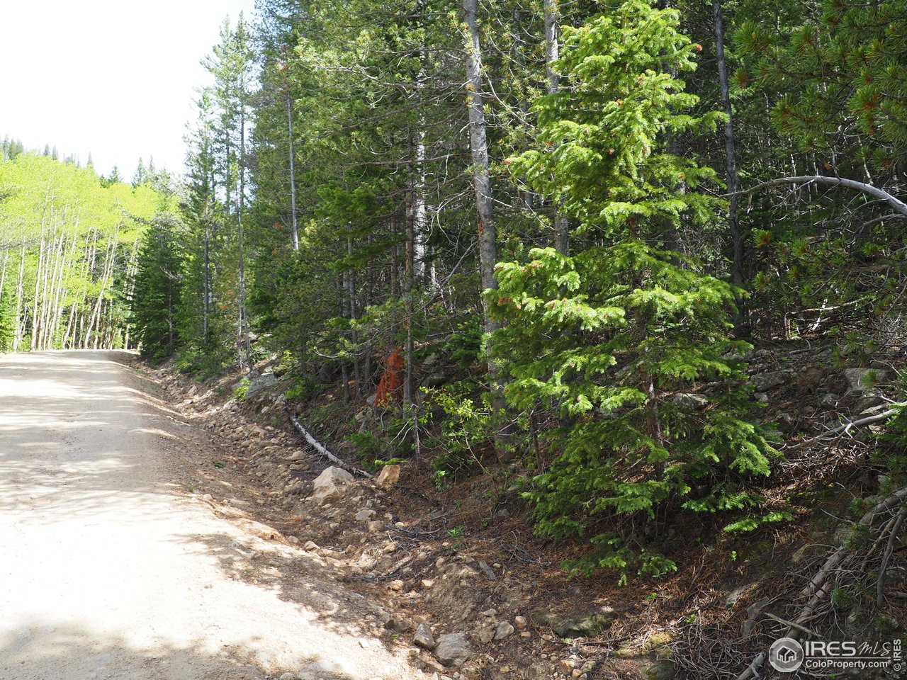 0 Gamble Gulch Road Black Hawk, CO 80422 - Photo 23 of 23 a view of a yard with plants and large trees
