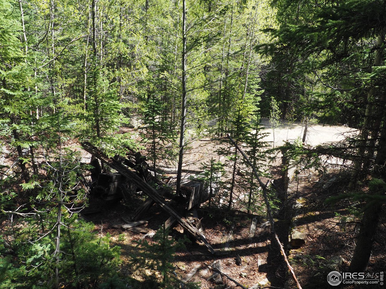 0 Gamble Gulch Road Black Hawk, CO 80422 - Photo 4 of 23 a picture of tree