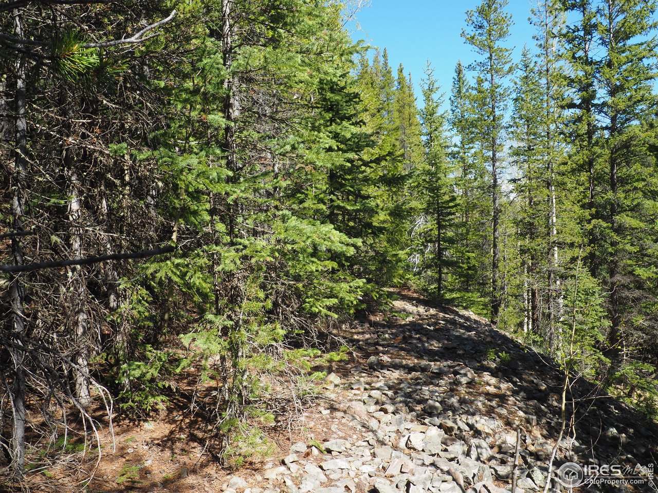 0 Gamble Gulch Road Black Hawk, CO 80422 - Photo 5 of 23 a view of a large yard with lots of bushes