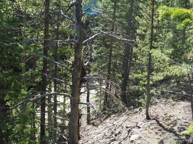 $98,000 | 0 Gamble Gulch Road, Black Hawk, CO 80422