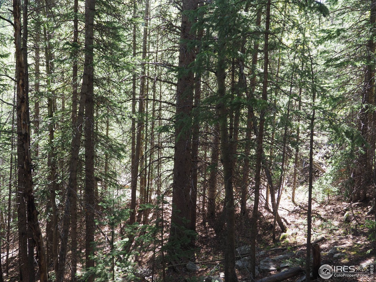 0 Gamble Gulch Road Black Hawk, CO 80422 - Photo 8 of 23