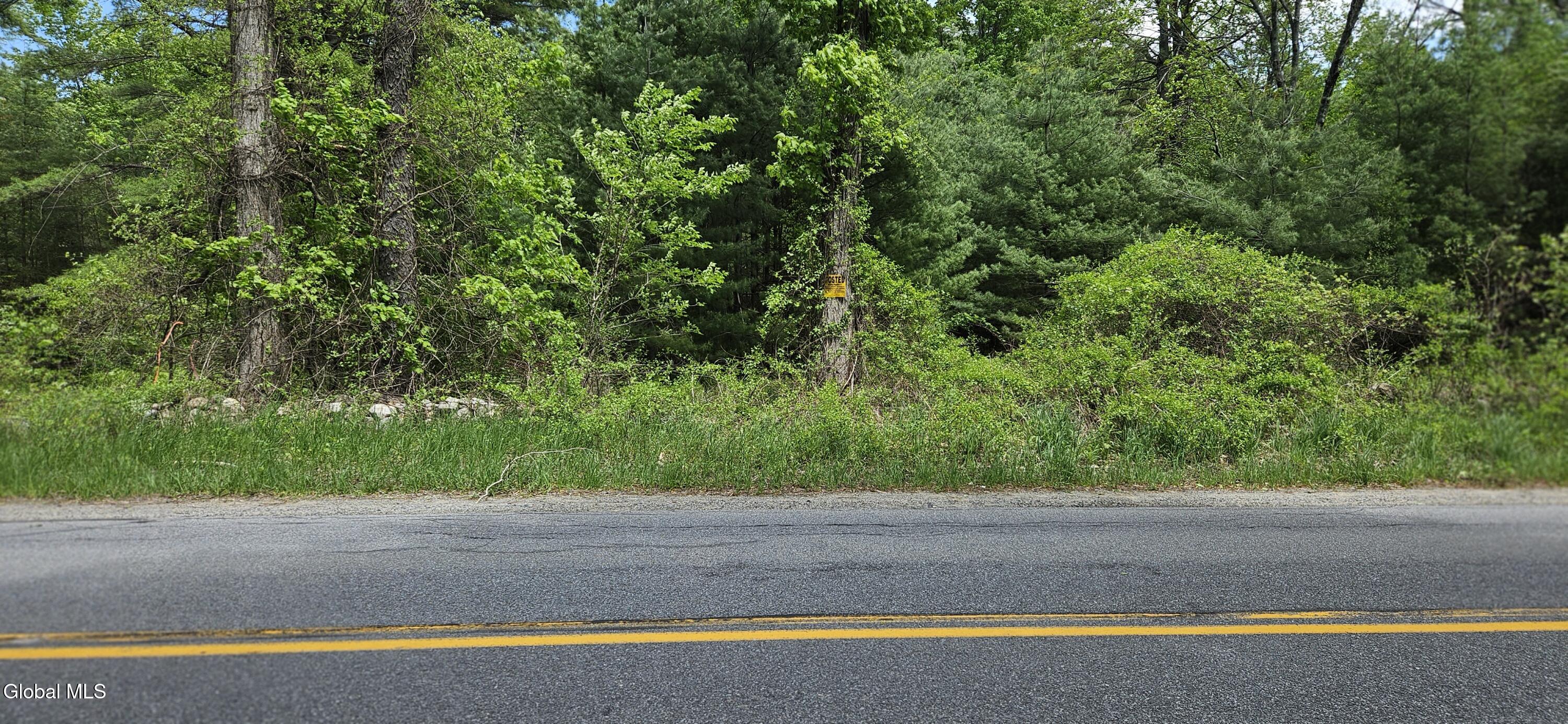 L58.2 Howe Road Greenfield Center, NY 12833 - Photo 1 of 3 1000023834
