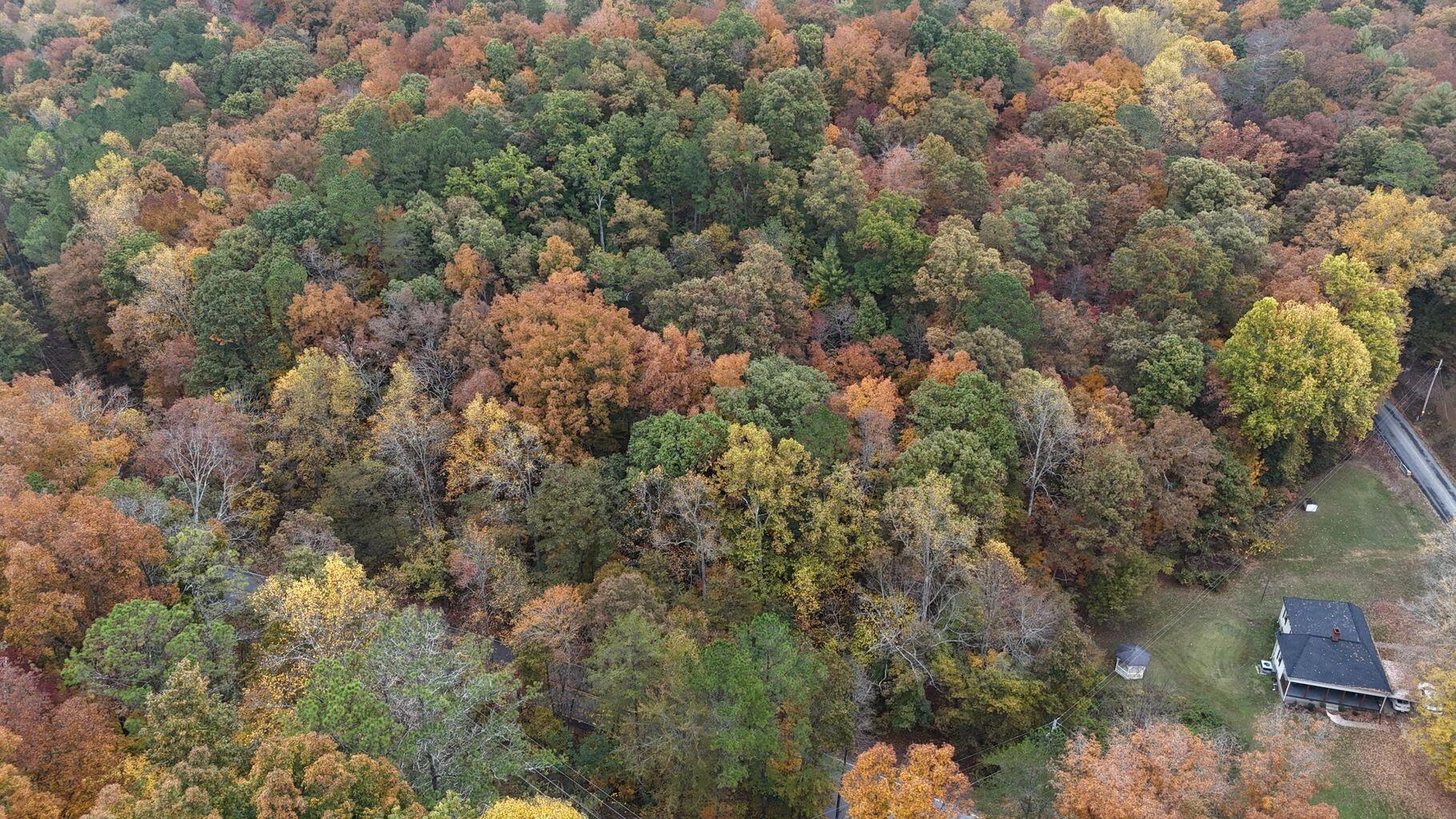 0 Lower River Road Northwest Georgetown, TN 37336 - Photo 12 of 13 20250708155327600760000000-o