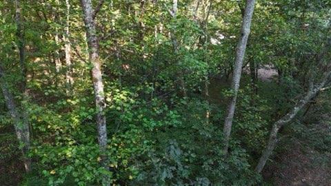 0 Lower River Road Northwest Georgetown, TN 37336 - Photo 2 of 13 dji_fly_2_1758204720466