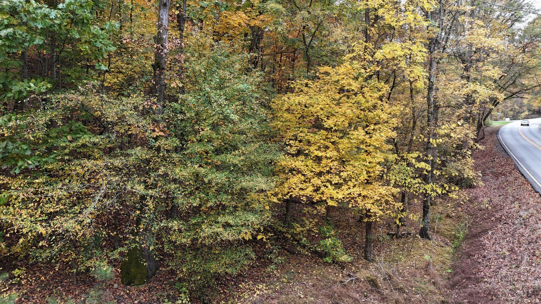 0 Lower River Road Northwest Georgetown, TN 37336 - Photo 3 of 13 20250708155327082019000000-o