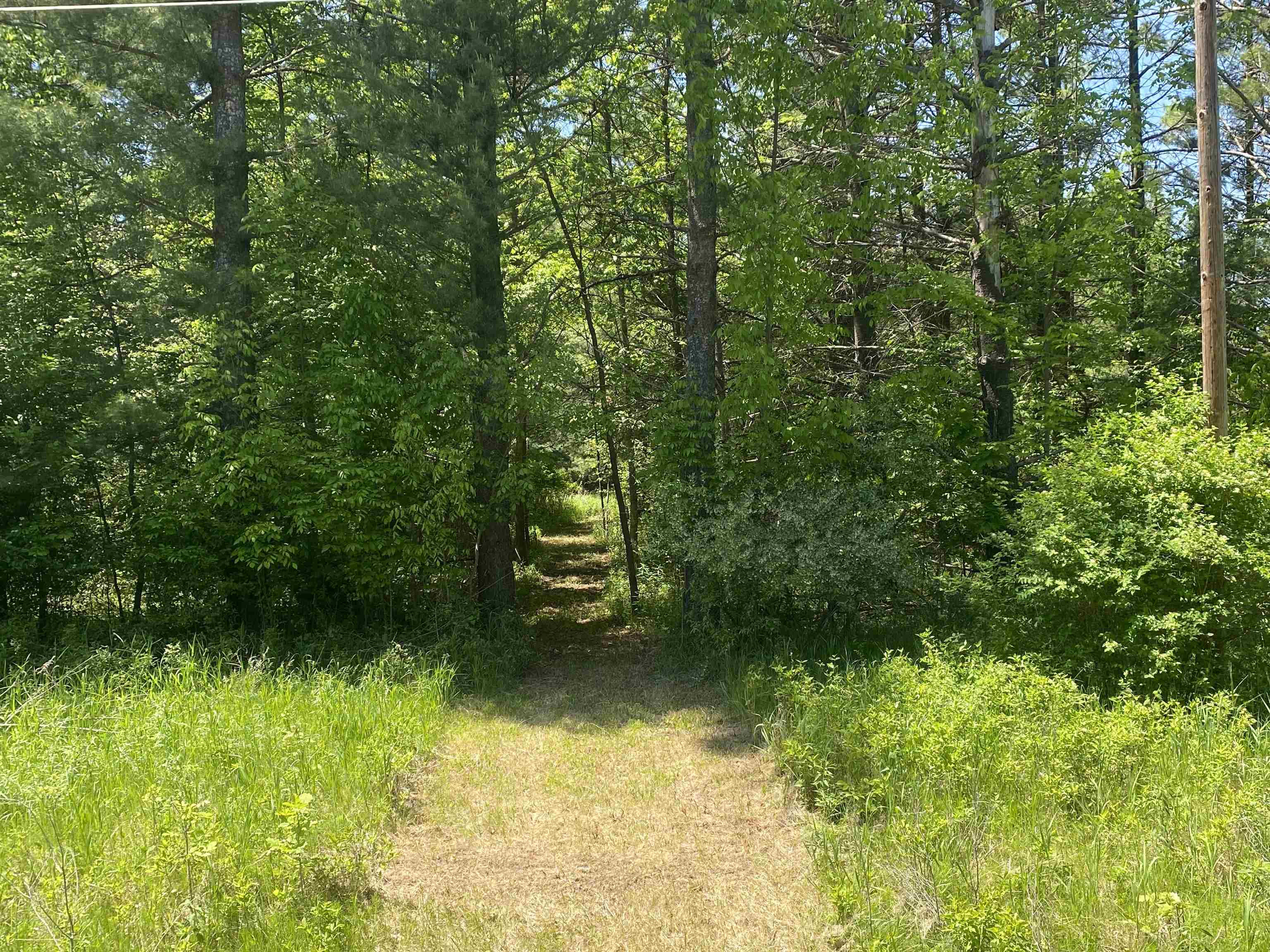 V/l Bass Lake Road Lupton, MI 48635 - Photo 5 of 15